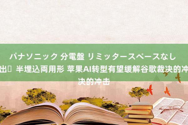 パナソニック 分電盤 リミッタースペースなし 露出・半埋込両用形 苹果AI转型有望缓解谷歌裁决的冲击