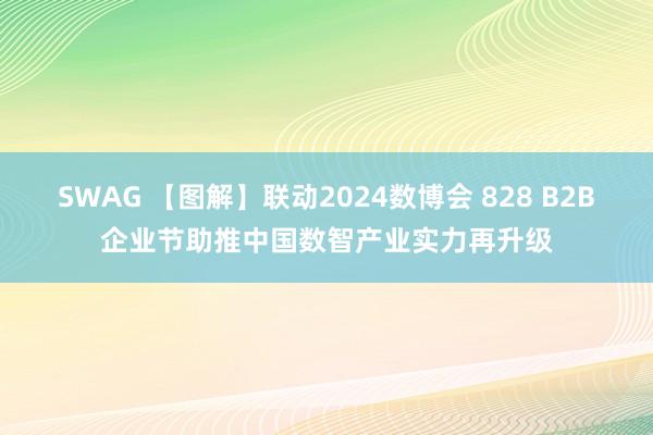 SWAG 【图解】联动2024数博会 828 B2B企业节助推中国数智产业实力再升级