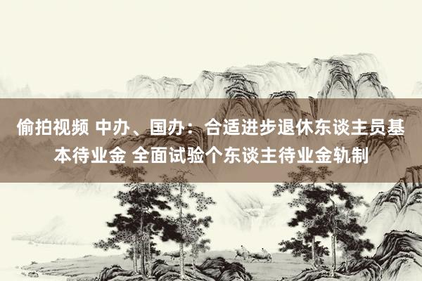 偷拍视频 中办、国办：合适进步退休东谈主员基本待业金 全面试验个东谈主待业金轨制