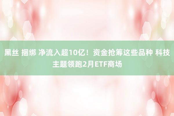 黑丝 捆绑 净流入超10亿！资金抢筹这些品种 科技主题领跑2月ETF商场