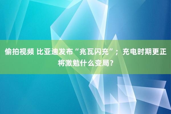 偷拍视频 比亚迪发布“兆瓦闪充”；充电时期更正将激勉什么变局？